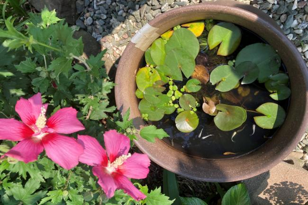 蓬莱山長谷寺の写真