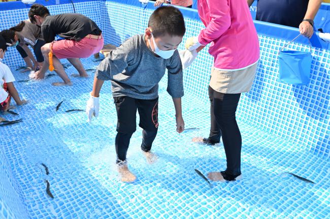 鮎つかみ取りの写真