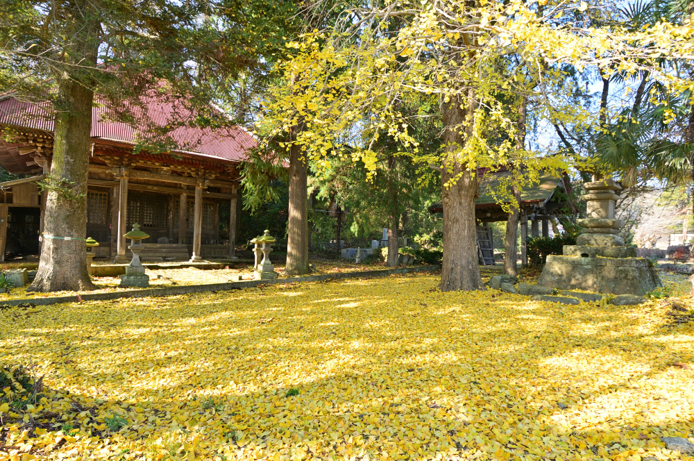 金剛寺大師堂の紅葉の写真