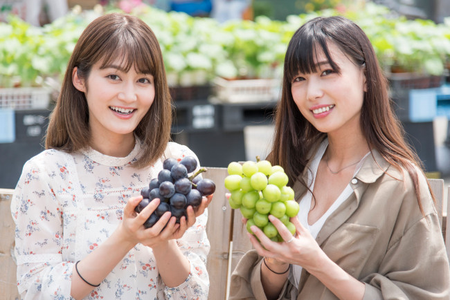 売り上げベスト2の画像