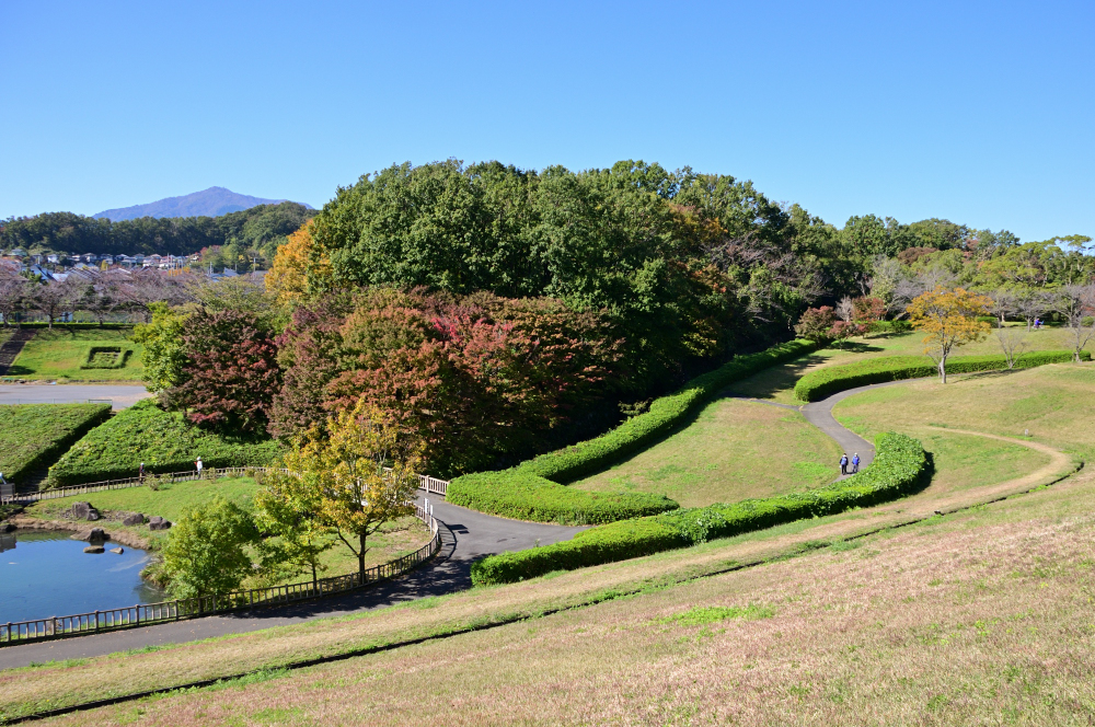 若宮公園・森の里の街路の紅葉の写真