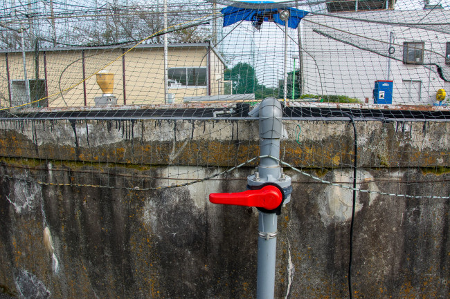 こちらのコックをひねると水が水槽に注入されますの画像