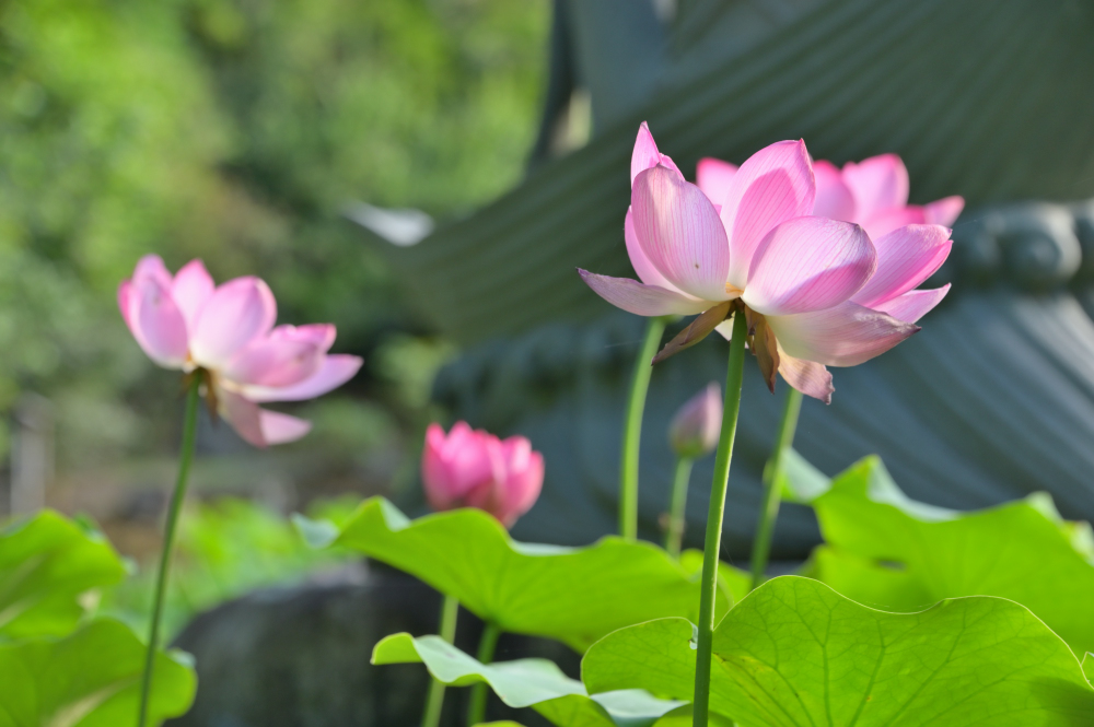 雲渓山常昌院の写真