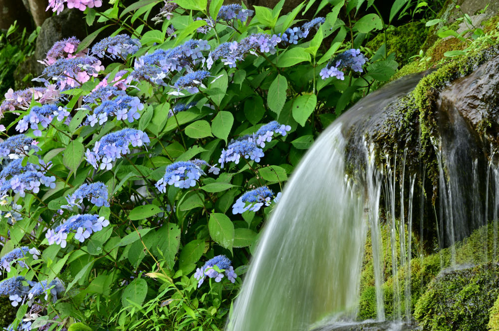 雲渓山常昌院の写真