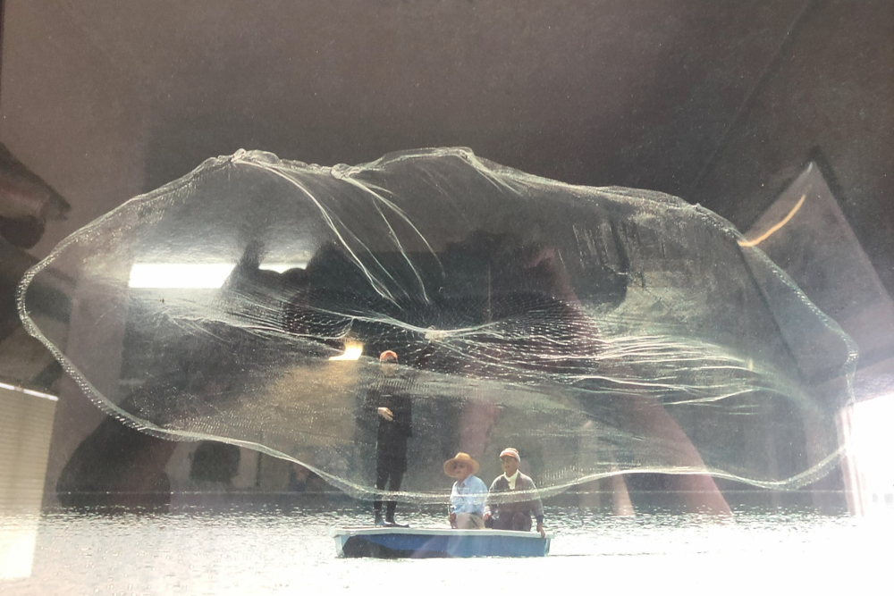 投網大網の写真