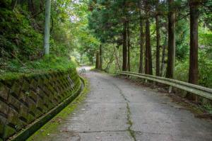 林道の写真