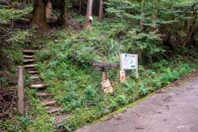 林道から野道に入るところの写真