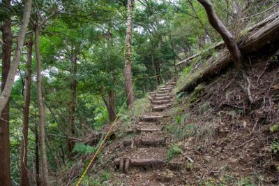 野道の写真