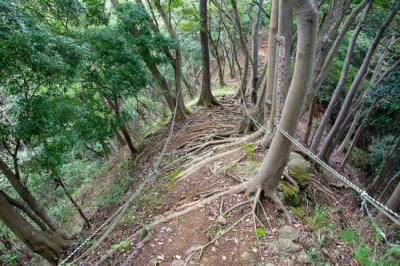 野道の写真