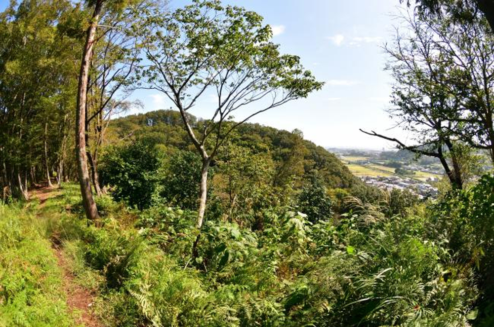 小町緑地の写真