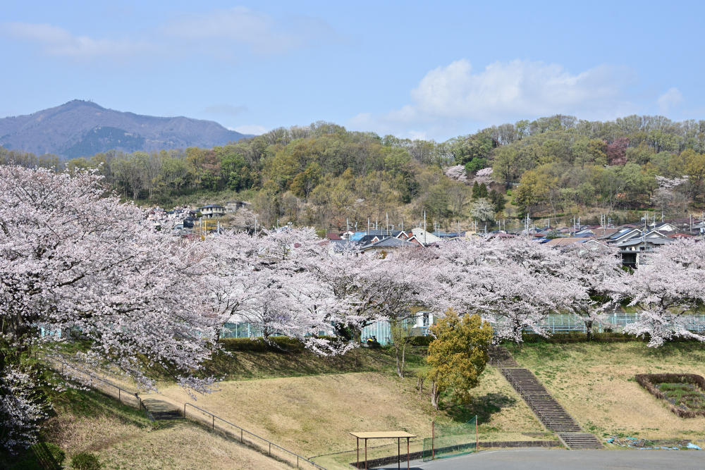 若宮公園の写真