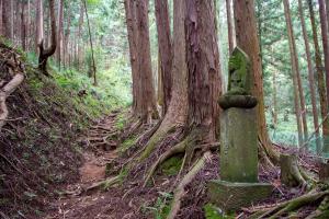 杉林の中の丁石と石像