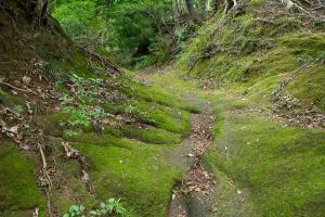 滑りやすい露岩の道