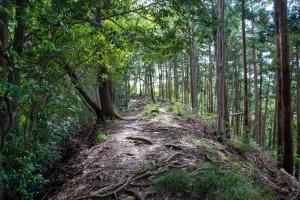 白山神社1