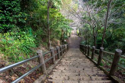 長谷寺を下る階段