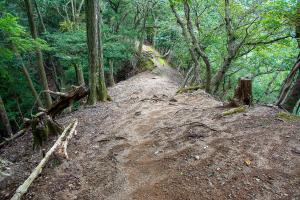 傾斜のきつい下山道