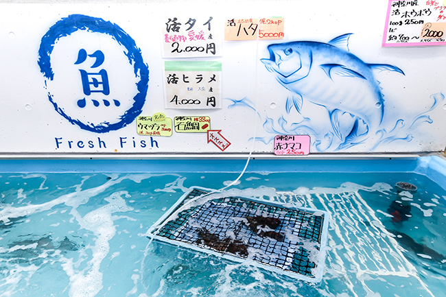 水産業者がお届けするとれたて魚の鮮魚コーナーの写真