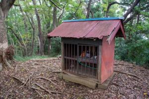 秋葉神社