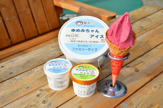 ゆめみちゃんアイスの写真