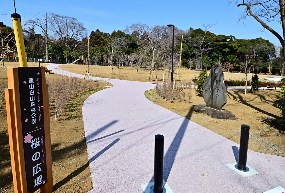 飯山白山森林公園の桜の広場の写真