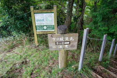 2つ目の急な木段入口