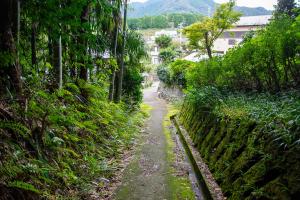 七沢森林公園の七沢方面出口