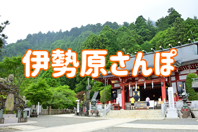 伊勢原さんぽ