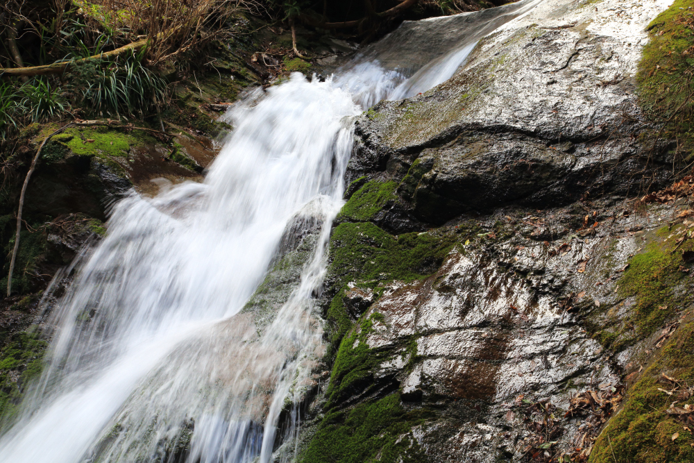不動の滝の写真