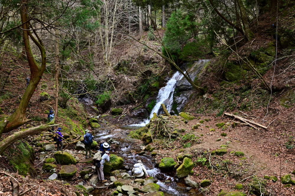 不動の滝の写真