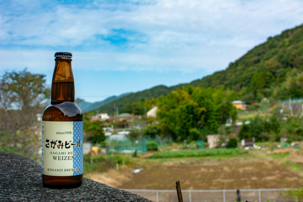 黄金井酒造の写真