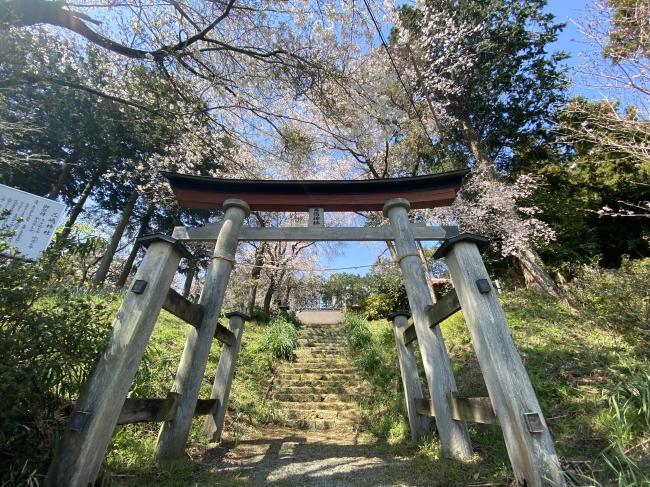 鳥居の写真