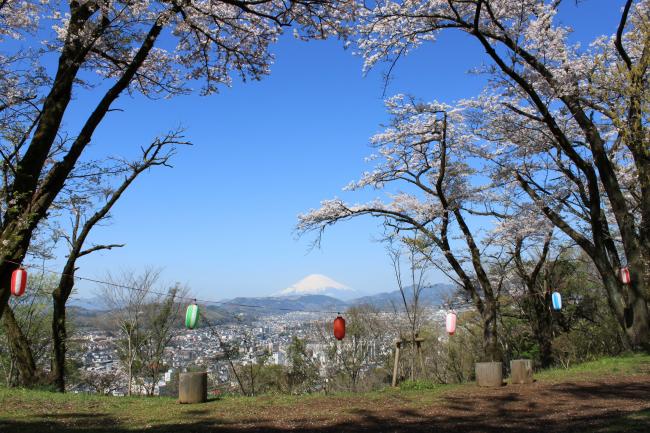 浅間山の桜の写真