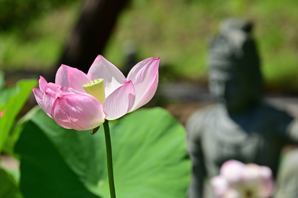 雲渓山常昌院の写真
