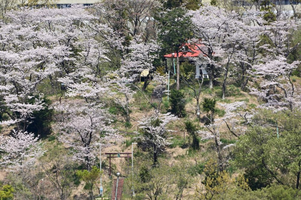 小町神社の写真
