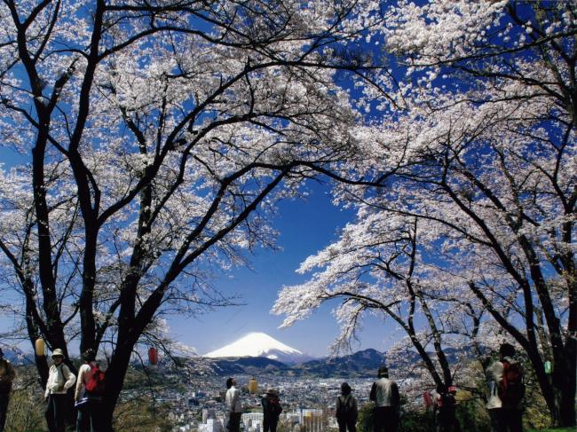 弘法山公園から見る富士山の写真