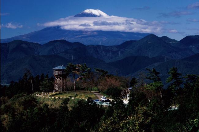 菜の花台から見る富士山の写真