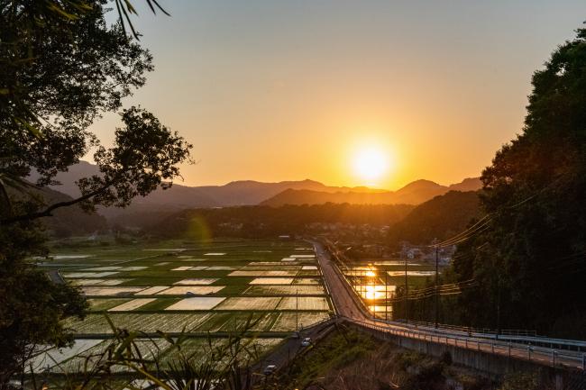 箕輪耕地の夕日の写真