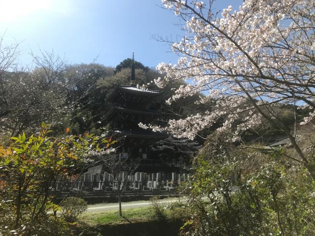 三重の塔