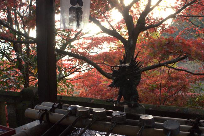 手水舎と紅葉の写真