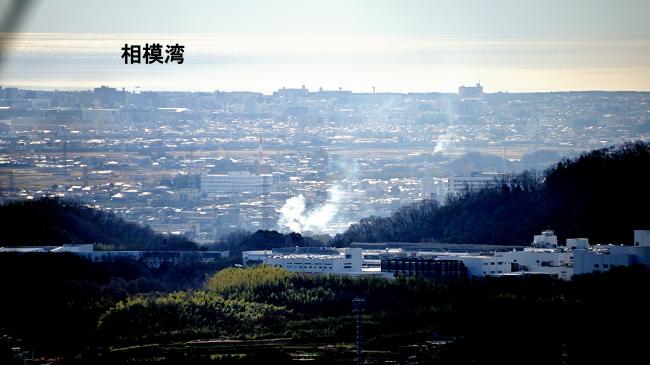 相模湾の写真