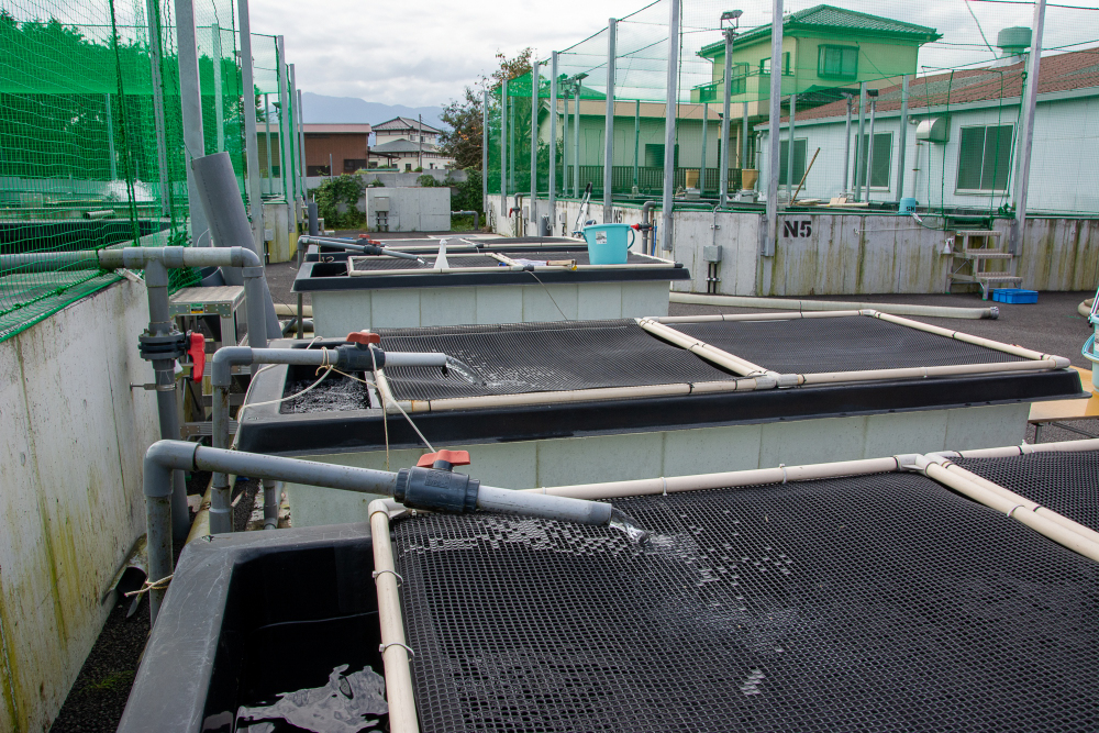 厚木あゆ種苗センターの写真