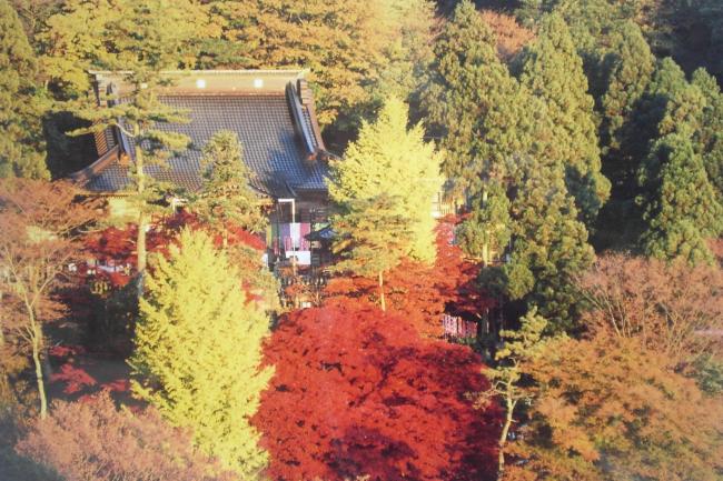 大山寺の写真