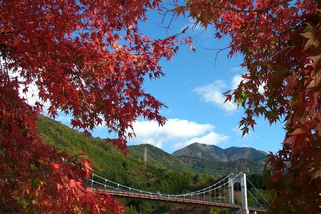 紅葉３