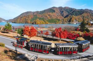 宮ヶ瀬湖畔園地の紅葉の写真