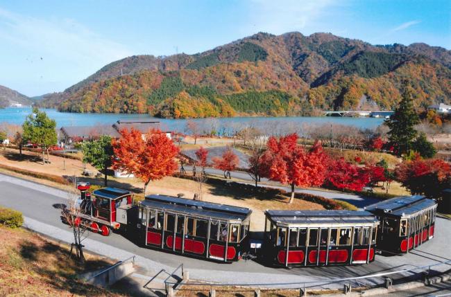 宮ヶ瀬湖畔園地の紅葉の写真