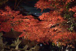 大山の紅葉