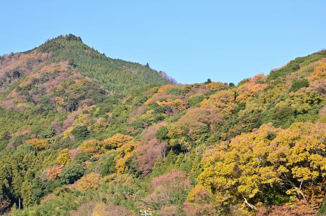 鐘ヶ嶽の紅葉の写真