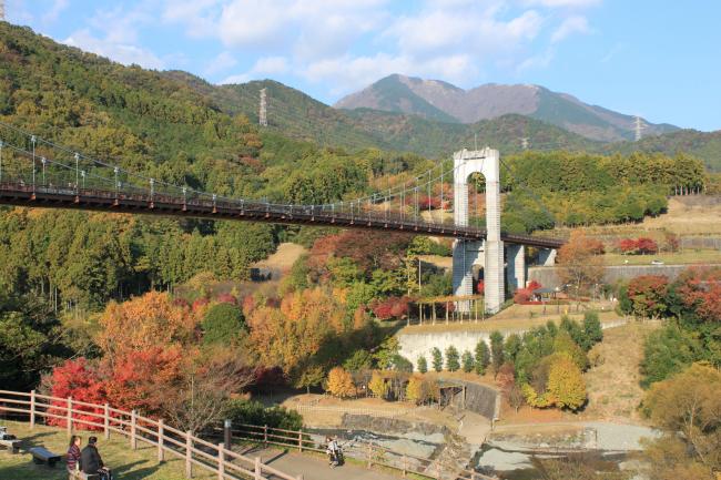 秦野戸川公園の紅葉の写真