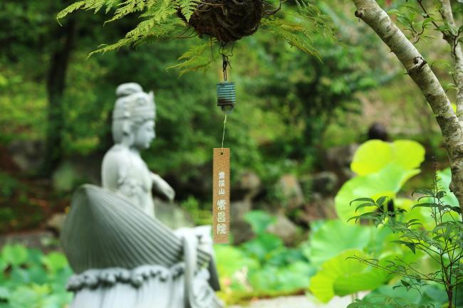 境内の写真
