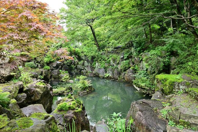 境内の池の写真